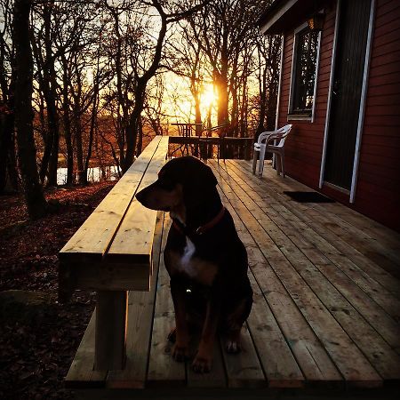 Farm Stay Happy Dogs Ranch Veberöd Extérieur photo