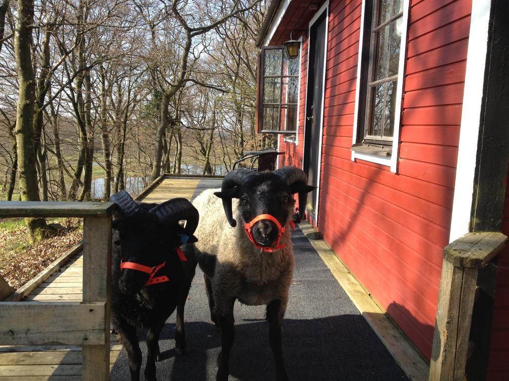 Farm Stay Happy Dogs Ranch Veberöd Extérieur photo