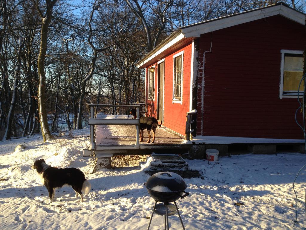 Farm Stay Happy Dogs Ranch Veberöd Extérieur photo